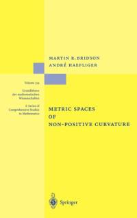 Metric Spaces of Non-Positive Curvature av Martin R. Bridson