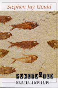 Punctuated Equilibrium av Stephen Jay Gould