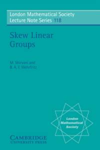 Skew Linear Groups av M. Shirvani