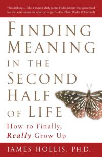 Finding Meaning in the Second Half of Life av James (James Hollis) Hollis