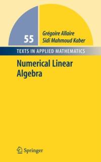 Numerical Linear Algebra av Gregoire Allaire