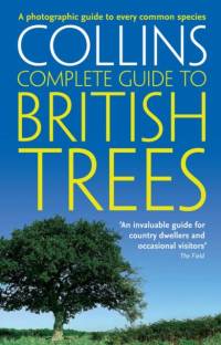British Trees av Paul Sterry
