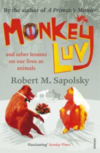 Monkeyluv av Robert M Sapolsky