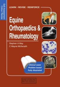 Equine Orthopaedics and Rheumatology av Stephen May