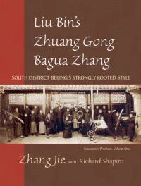 Liu Bin's Zhuang Gong Bagua Zhang, Volume One av Jie Zhang