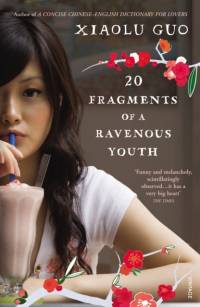 20 Fragments of a Ravenous Youth av Xiaolu Guo