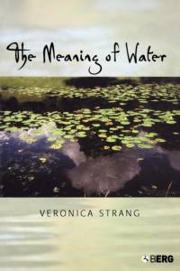 The Meaning of Water av Veronica Strang