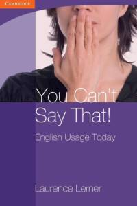 You Can't Say That! English Usage Today av Laurence Lerner
