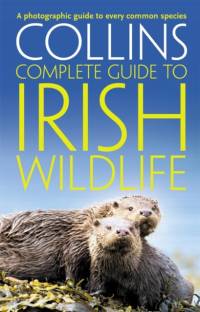 Collins Complete Irish Wildlife av Paul Sterry