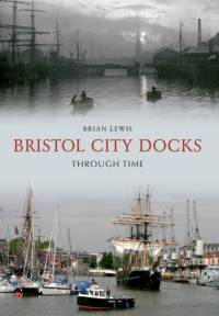 Bristol City Docks Through Time av Brian Lewis