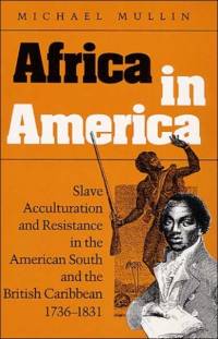 Africa in America av Michael Mullin