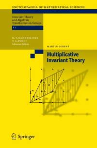 Multiplicative Invariant Theory av Martin Lorenz
