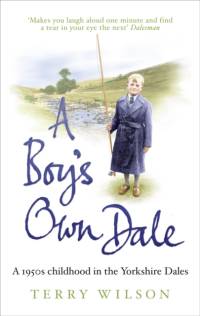 A Boy's Own Dale av Terry Wilson