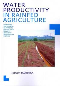 Water Productivity in Rainfed Agriculture av Hodson Makurira