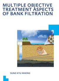 Multiple Objective Treatment Aspects of Bank Filtration av Sung Kyu Maeng