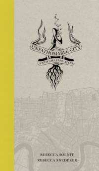 Unfathomable City av Rebecca Solnit
