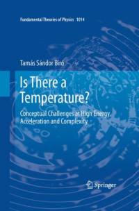 Is There a Temperature? av Tamas Sandor Biro