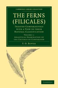 The Ferns (Filicales): Volume 1, Analytical Examination of the Criteria of Comparison av F. O. Bower