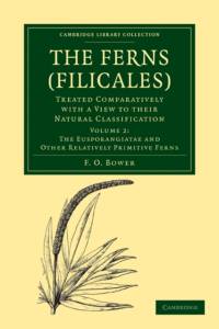 The Ferns (Filicales): Volume 2, The Eusporangiatae and Other Relatively Primitive Ferns av F. O. Bower