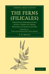 The Ferns (Filicales): Volume 3, The Leptosporangiate Ferns av F. O. Bower