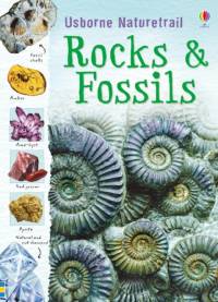 Rocks and Fossils av Struan Reid