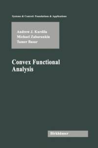 Convex Functional Analysis av Andrew J. Kurdila