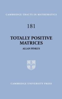 Totally Positive Matrices av Allan (Technion - Israel Institute of Technology Pinkus
