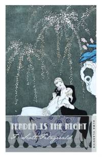 Tender is the Night av F. Scott Fitzgerald