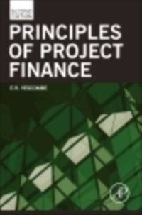 Principles of Project Finance av E. R. (YCL Consulting Yescombe