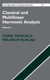 Classical and Multilinear Harmonic Analysis av Camil (Cornell University Muscalu