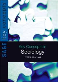 Key Concepts in Sociology av Peter H Braham