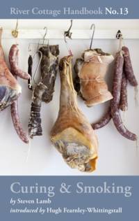Curing & Smoking av Steven Lamb