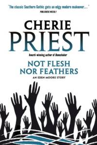 Eden Moore - Not Flesh Nor Feathers av Cherie Priest
