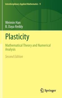 Plasticity av Weimin Han