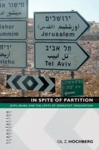 In Spite of Partition av Gil Z. Hochberg