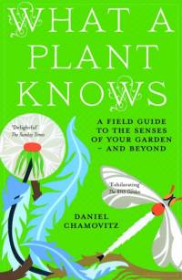 What a Plant Knows av Daniel Chamovitz