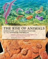 The Rise of Animals av Mikhail A. (Head Fedonkin