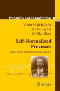 Self-Normalized Processes av Victor H. Pena