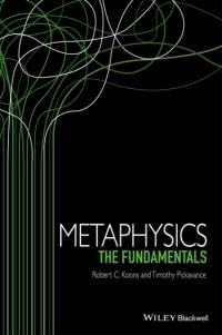 Metaphysics av Robert C. Koons