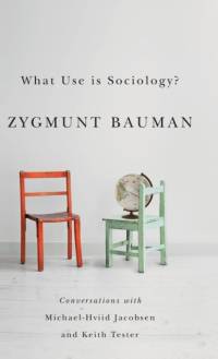 What Use is Sociology? av Michael Hviid Jacobsen