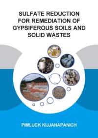 Sulfate Reduction for Remediation of Gypsiferous Soils and Solid Wastes av Pimluck (UNESCO-IHE Institute for Water Education Kijjanapanich