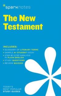 New Testament SparkNotes Literature Guide av SparkNotes