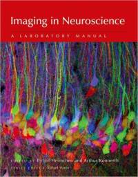 Imaging in Neuroscience av Fritjof Helmchen