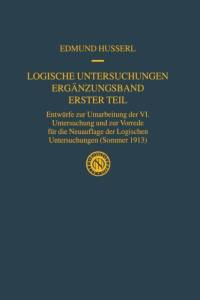Logische Untersuchungen Erganzungsband Erster Teil av Edmund Husserl