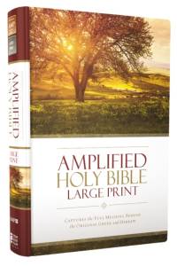 Amplified Holy Bible, Large Print, Hardcover av Zondervan Publishing