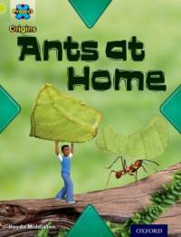 Project X Origins: Lime Book Band, Oxford Level 11: Underground: Ants at Home av Haydn Middleton
