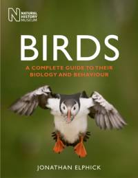 Birds av Jonathan Elphick