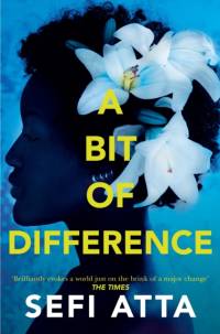 A Bit of Difference av Sefi Atta
