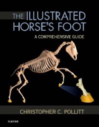 The Illustrated Horse's Foot av Christopher C. (Reader in Equine Medicine Pollitt