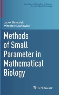 Methods of Small Parameter in Mathematical Biology av Jacek Banasiak